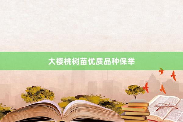 大樱桃树苗优质品种保举